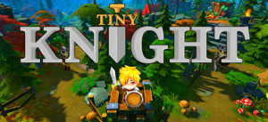 Tiny Knight