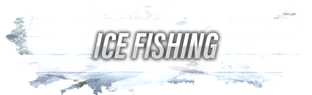 Ultimate Fishing Simulator VR