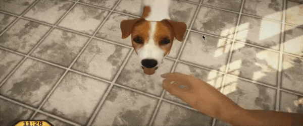 Pets Hotel