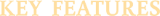 Grimlord